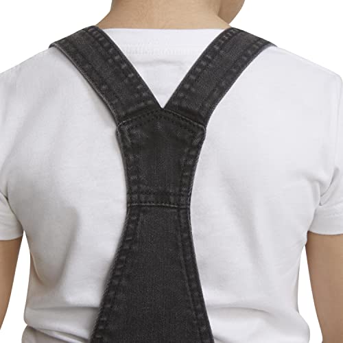 Levi's Girls' Little Denim Overall, Skyler, 4